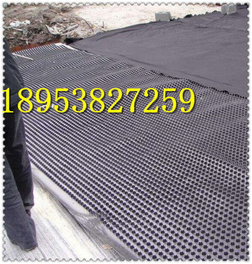 長(zhǎng)春h25mm塑料排水卷材板現(xiàn)貨銷售昌都濾水板