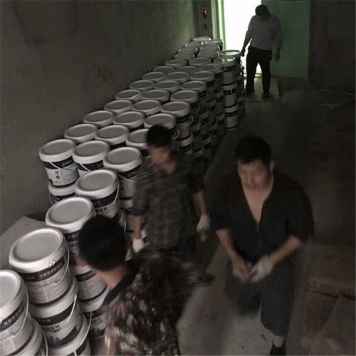 廠家直銷高級工程防水涂料液體卷材涂膜材料